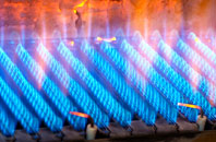 Capheaton gas fired boilers